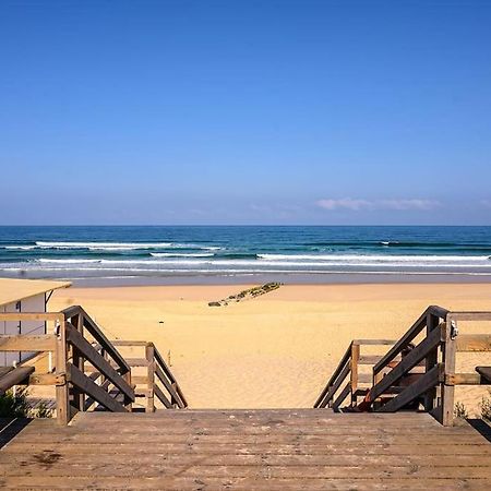La Cabane Maddyblue 5 Min A Pieds De L'Ocean Et Commerce Mimizan-Plage Екстериор снимка
