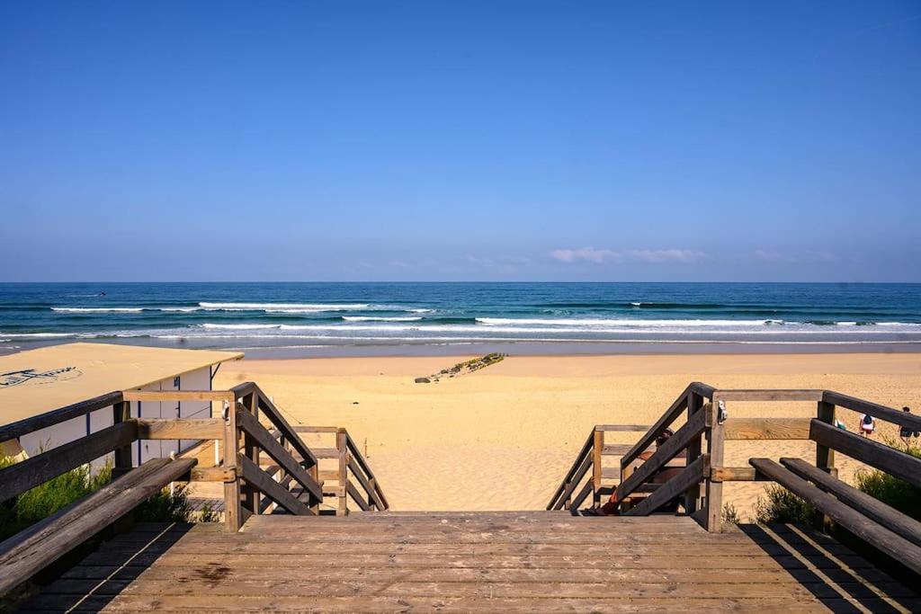 La Cabane Maddyblue 5 Min A Pieds De L'Ocean Et Commerce Mimizan-Plage Екстериор снимка