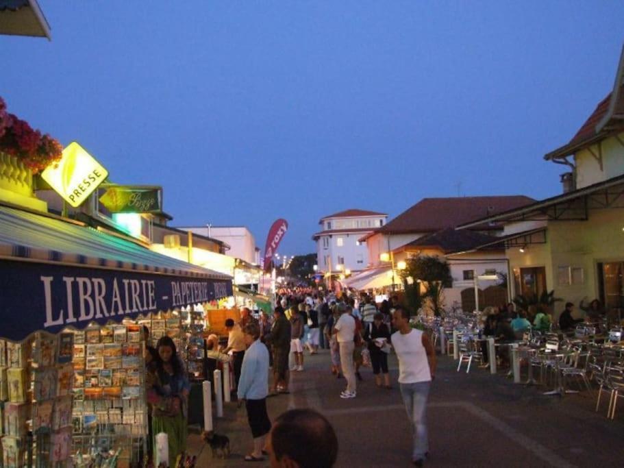 La Cabane Maddyblue 5 Min A Pieds De L'Ocean Et Commerce Mimizan-Plage Екстериор снимка